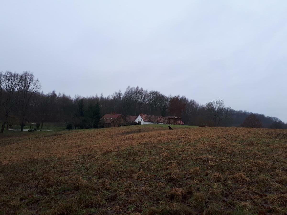 Labadkowo Villa Labedzie Exterior foto