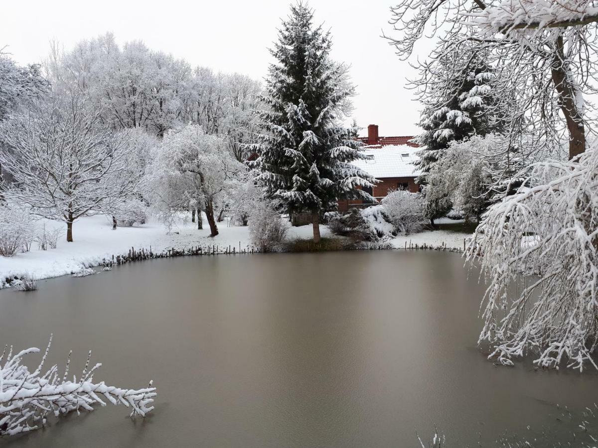 Labadkowo Villa Labedzie Exterior foto