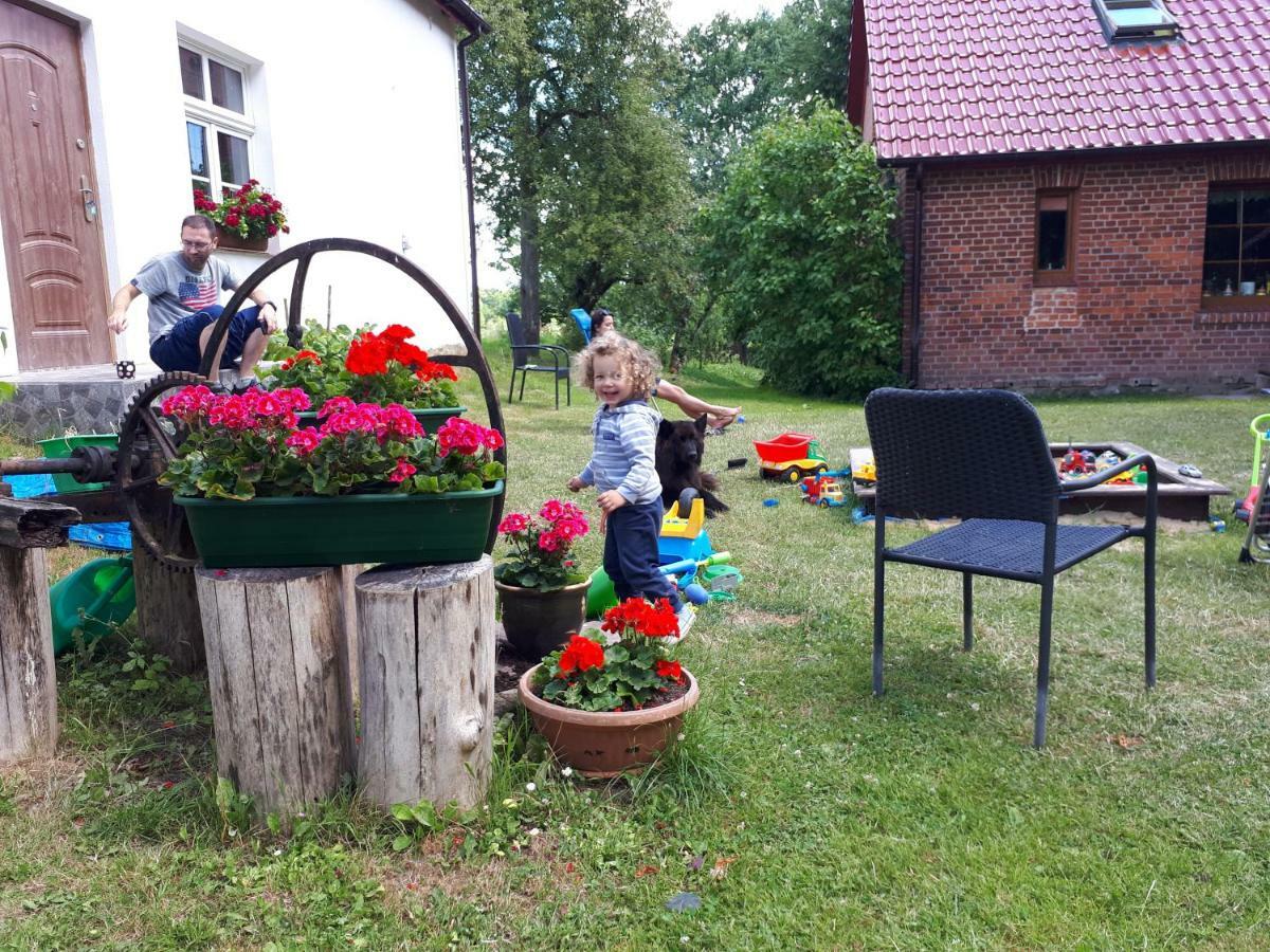 Labadkowo Villa Labedzie Exterior foto
